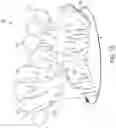 Fig. 16 - Three-dimensional display