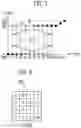 Fig. 07 - Display device and method of driving the same