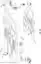Fig. 17 - Burn-in compensation for display