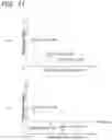 Fig. 08 - Display device and driving method therefor