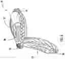 Fig. 07 - Chin rest