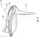 Fig. 15 - Chin rest