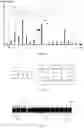 Fig. 04 - METHOD FOR ANALYZING MUSICAL COMPOSITIONS