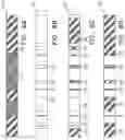 Fig. 07 - Metadata-based diarization of teleconferences