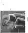 Fig. 17 - Video Enhancements