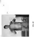 Fig. 31 - Video Enhancements