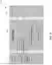 Fig. 34 - Video Enhancements