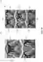 Fig. 40 - Video Enhancements