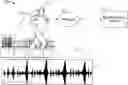 Fig. 01 - Repetitive-Motion Activity Enhancement Based Upon Media Content Selection