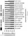 Fig. 16 - Valley spin hall effect based non-volatile memory