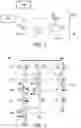 Fig. 03 - Duo-level word line driver