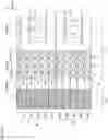 Fig. 13 - Semiconductor memory device