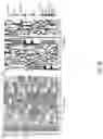 Fig. 10 - SYSTEMS AND METHODS TO CLASSIFY ANTIBODIES