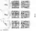 Fig. 22 - SYSTEMS AND METHODS TO CLASSIFY ANTIBODIES