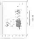 Fig. 11 - Methods and apparatus for evaluating developmental conditions and providing control over coverage and reliability