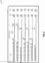 Fig. 03 - ORGANIZATIONAL GROUP DATA CATEGORIZATION