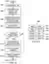 Fig. 19 - CODE TRIGGER TELEMEDICINE SESSION