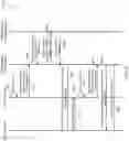 Fig. 29 - CODE TRIGGER TELEMEDICINE SESSION