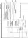 Fig. 36 - CODE TRIGGER TELEMEDICINE SESSION