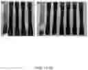 Fig. 06 - Extrusion-compression method for producing bonded permanent magnets