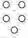 Fig. 09 - Multiple-position momentary electrical push switch with configurable activation zones