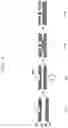 Fig. 05 - WAFER BONDING APPARATUS