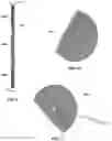 Fig. 07 - Semiconductor wafer transfer arm