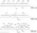 Fig. 02 - THIN SEMICONDUCTOR PACKAGE AND MANUFACTURING METHOD THEREOF