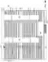 Fig. 16 - Three-dimensional memory device containing oxidation-resistant contact structures and methods of making the same