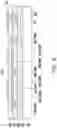 Fig. 09 - Integrated circuit package and method