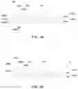 Fig. 05 - Method of operating microelectronic package