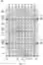 Fig. 13 - Layout structure including anti-fuse cell