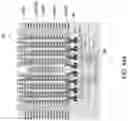 Fig. 74 - Three-dimensional memory device with separated source-side lines and method of making the same