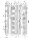 Fig. 05 - Memory arrays comprising strings of memory cells and methods used in forming a memory array comprising strings of memory cells