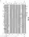 Fig. 21 - Memory arrays comprising strings of memory cells and methods used in forming a memory array comprising strings of memory cells