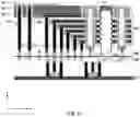 Fig. 10 - Three-dimensional memory devices and methods for forming the same