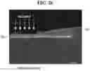 Fig. 26 - Display device