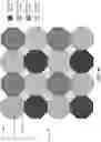 Fig. 04 - Pixel array including octagon pixel sensors