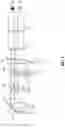 Fig. 05 - SINGLE SENSOR, SINGLE PATH MULTIVIEW OR MULTI-BAND SENSING