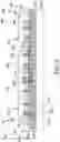Fig. 10 - LIGHT-EMITTING DEVICE AND METHOD FOR MAKING THE SAME