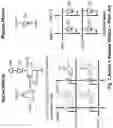 Fig. 02 - Monolithic semiconductor LED display systems and methods thereof