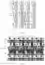 Fig. 12 - Display substrate and display device having low color cast characteristics