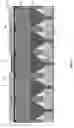 Fig. 08 - Low parasitic Cheterojunction bipolar transistor