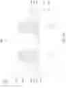 Fig. 44 - Semiconductor device and manufacturing method thereof