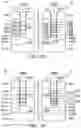 Fig. 13 - Semiconductor device structure with metal gate stack