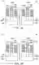 Fig. 16 - Semiconductor device structure with metal gate stack