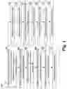 Fig. 02 - Inner spacer liner