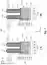 Fig. 03 - Latch-up prevention