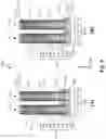 Fig. 10 - Latch-up prevention
