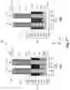 Fig. 18 - Latch-up prevention